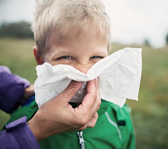Cough & Cold